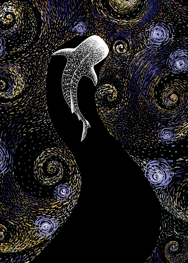 Le requin-baleine : une nuit étoilée - Alirıza ÇAKIR