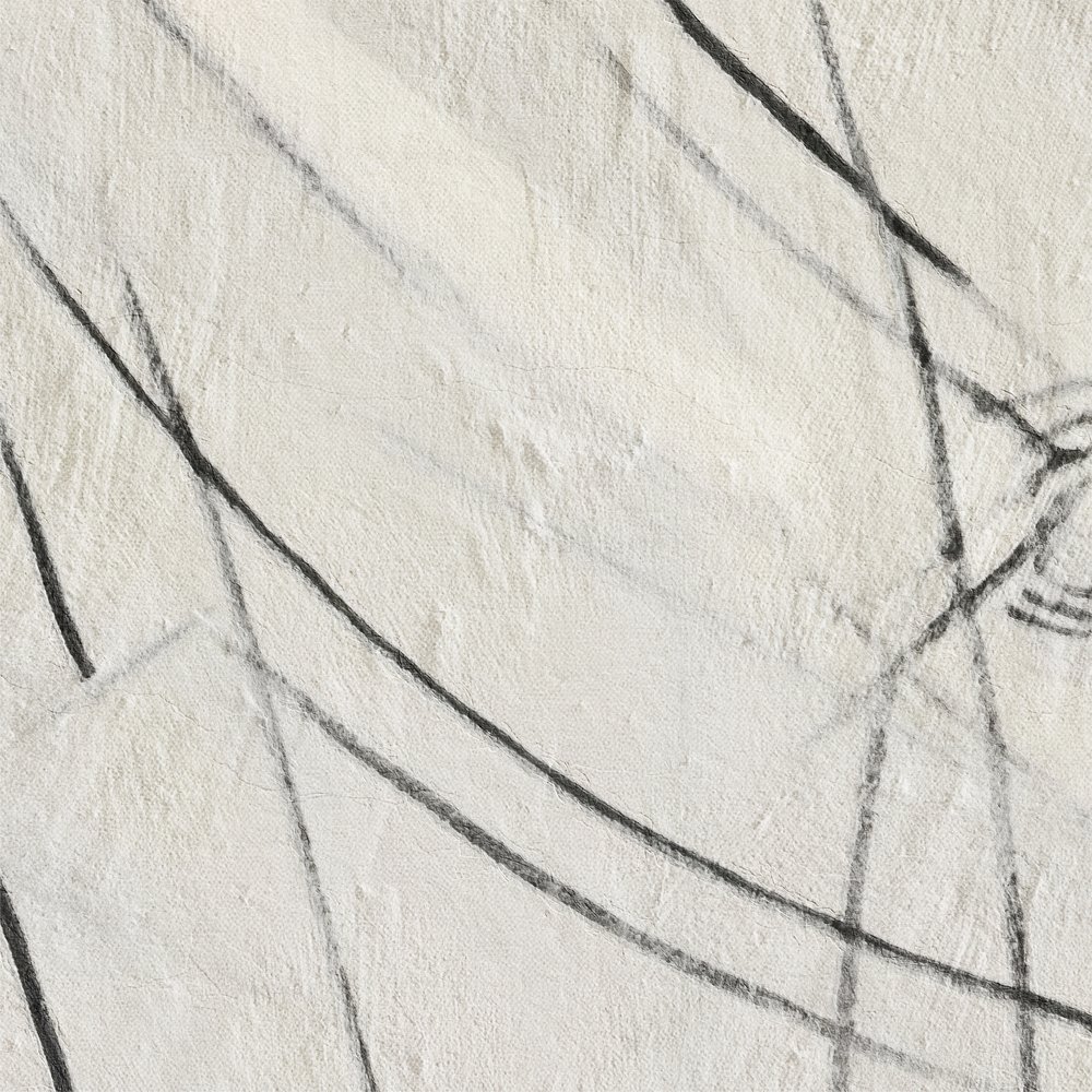 Lignes noires abstraites - Alma