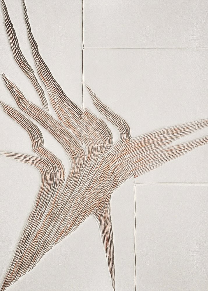 Lignes organiques fluides - Alma