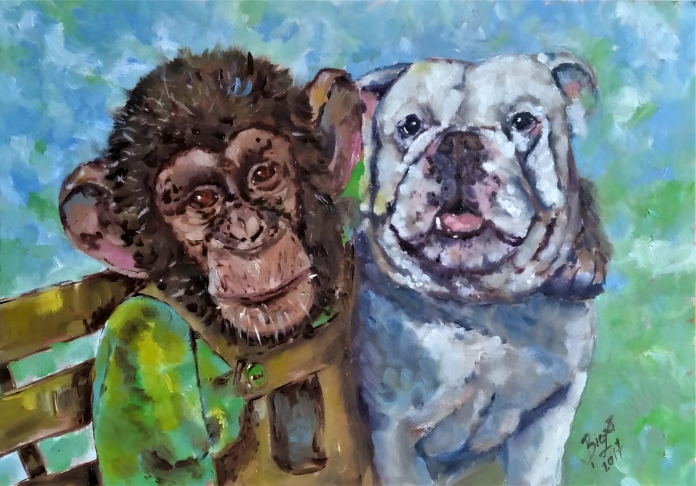 Chimpanzé et bouledogue, deux amis - Anda Bieza