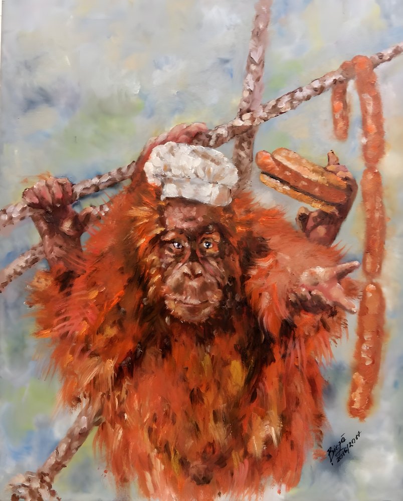 Un chef orang-outan rigolo - Anda Bieza