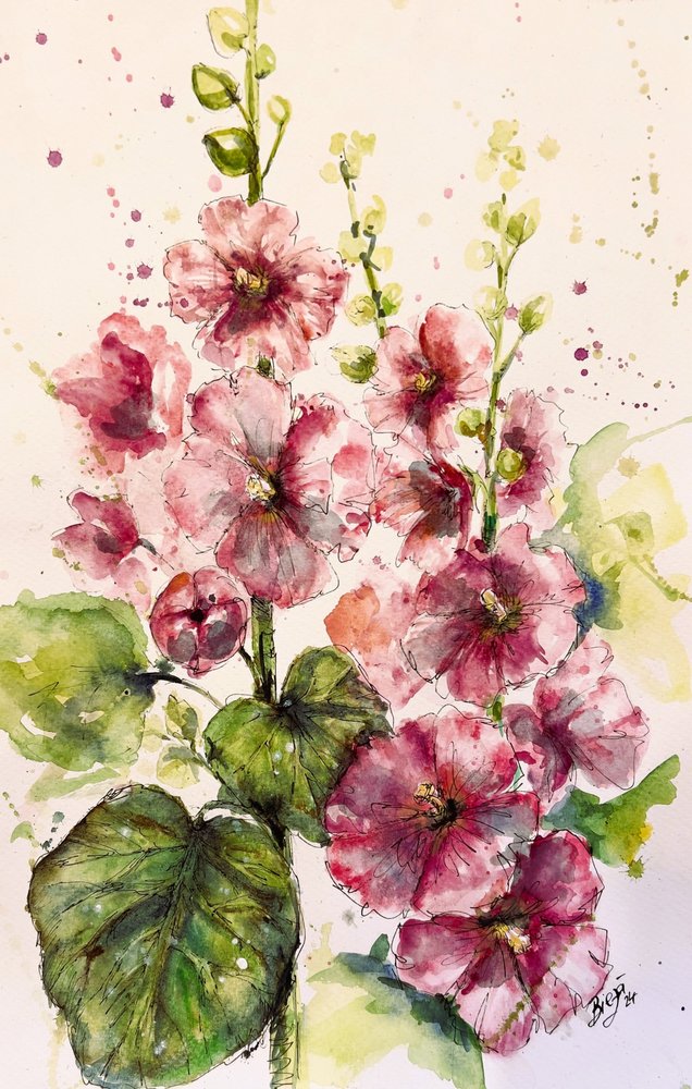 Des roses trémières d