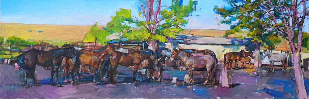 Les chevaux à l