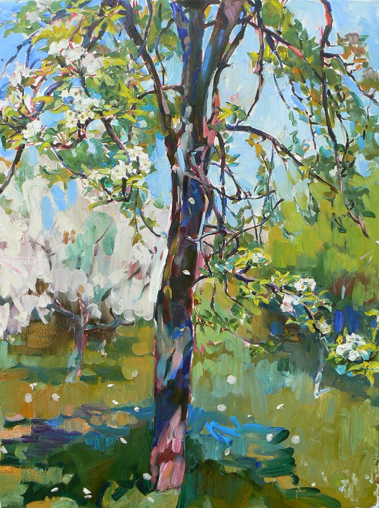  - Andrii Kutsachenko