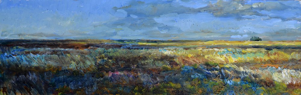Vaste paysage de prairie - Andrii Kutsachenko