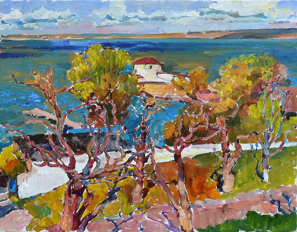 Une vue imprenable sur la côte - Andrii Kutsachenko