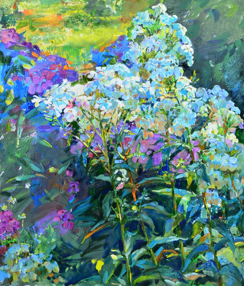 Phlox des jardins aux couleurs vives - Andrii Kutsachenko