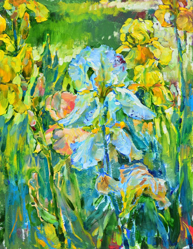  - Andrii Kutsachenko