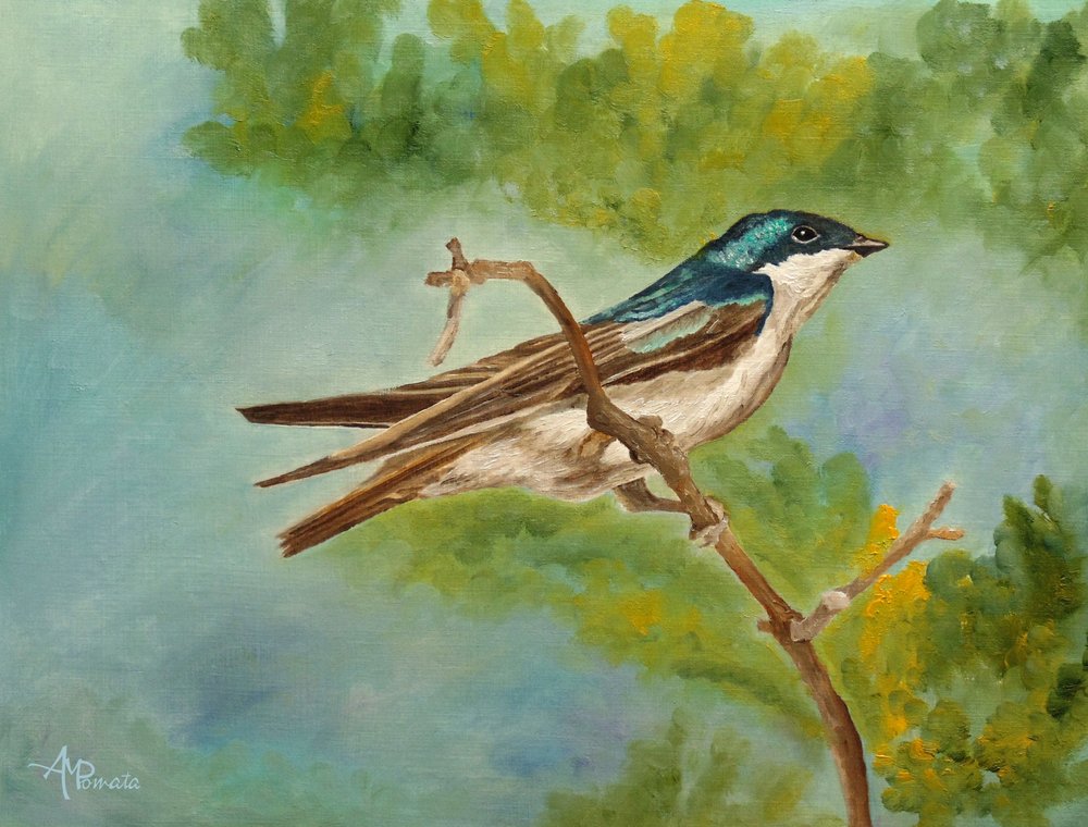 Hirondelle perchée aux couleurs vives - Angeles M. Pomata
