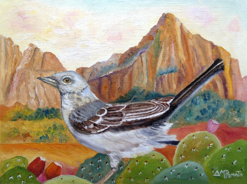 Paysage avec un moqueur du désert - Angeles M. Pomata