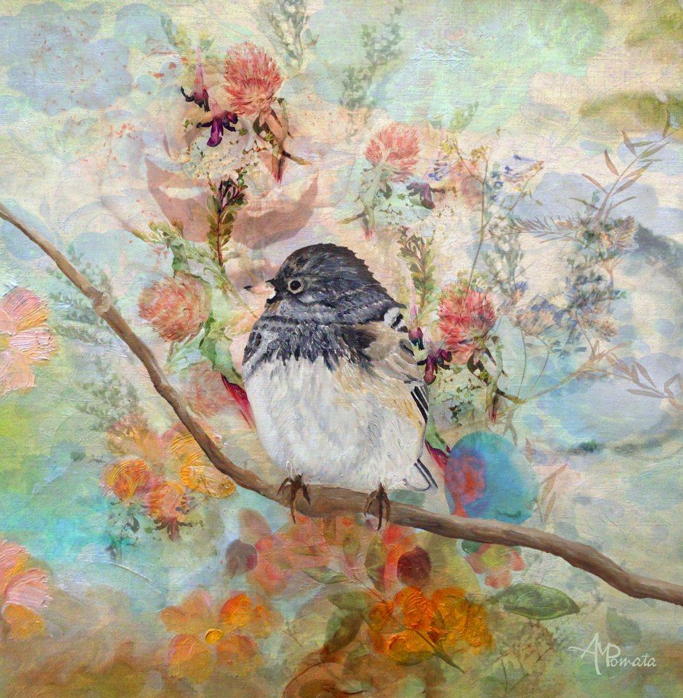 Oiseau de jardin de rêve - Angeles M. Pomata
