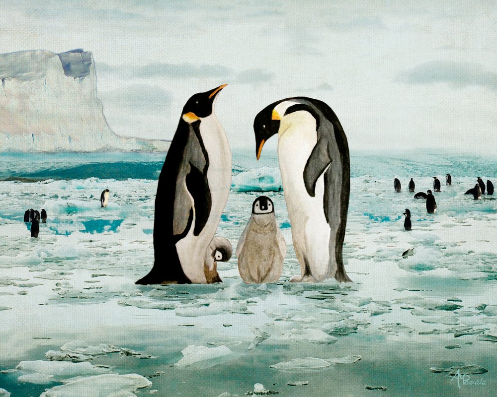 Une famille de manchots empereurs - Angeles M. Pomata