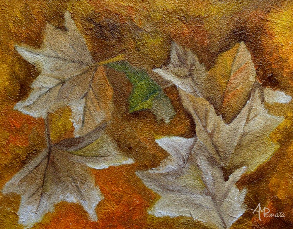 Feuilles d