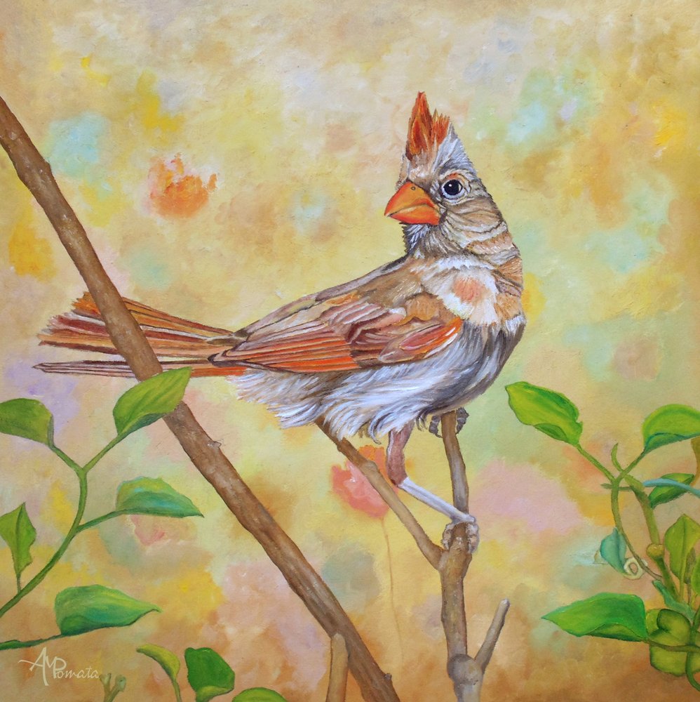 Une femelle cardinal perchée - Angeles M. Pomata