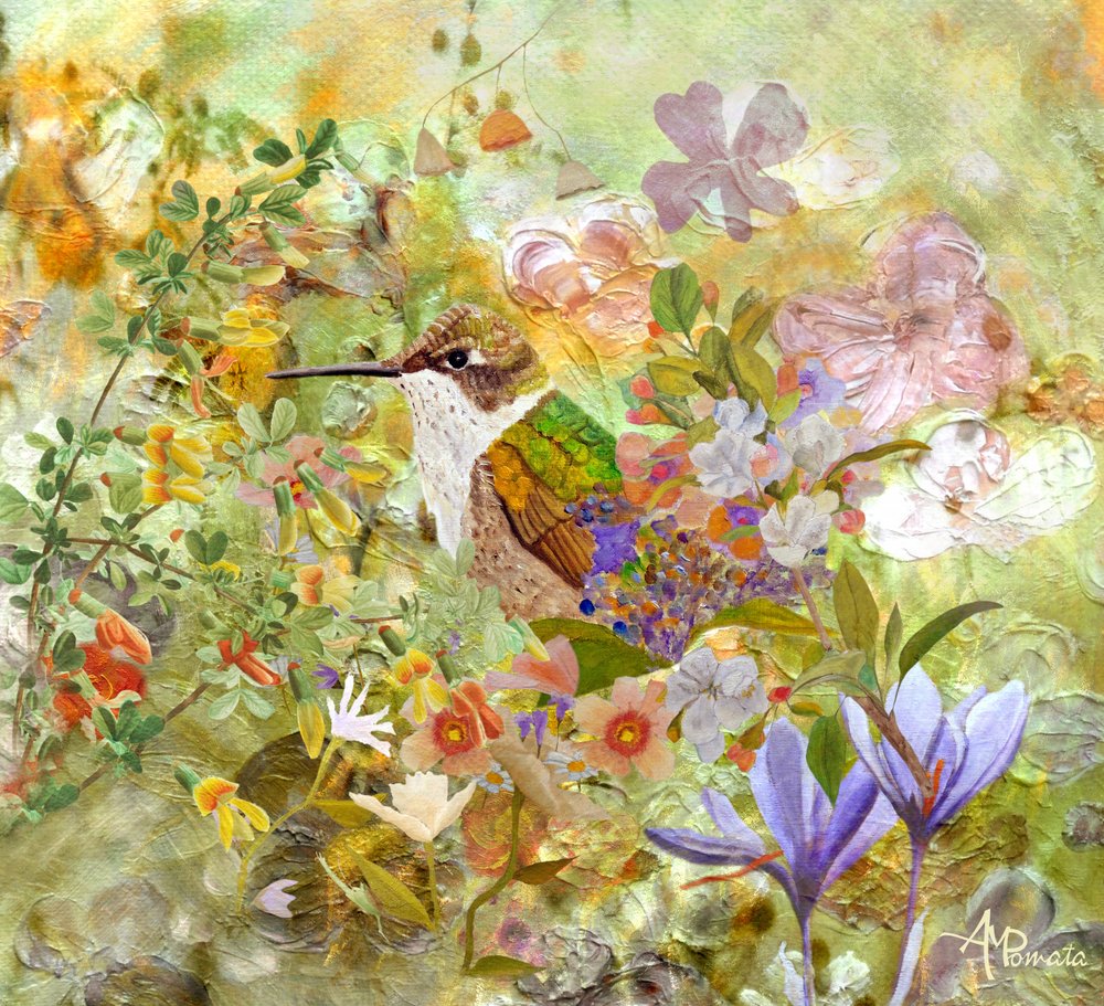 Fleurs pour le jardin des colibris - Angeles M. Pomata