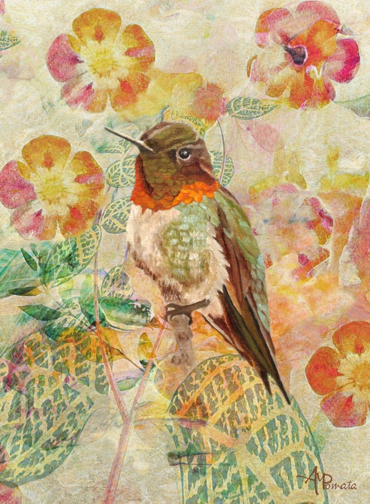 Colibri et fleurs - Angeles M. Pomata