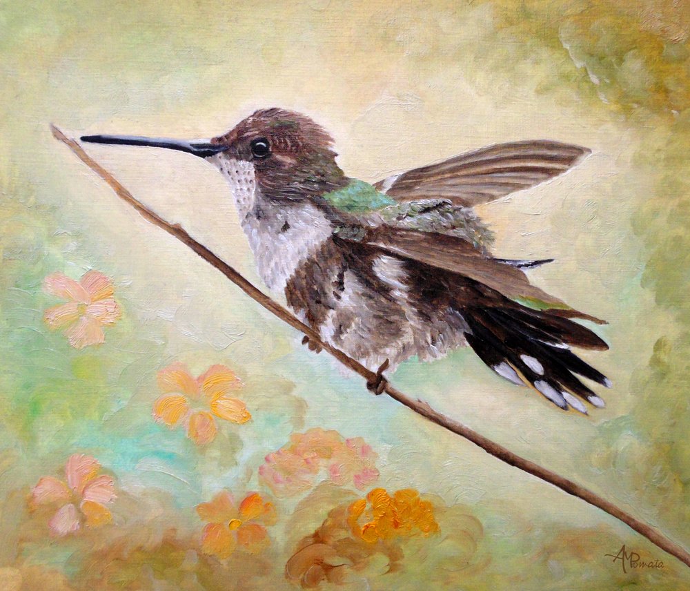 Colibri sur une branche - Angeles M. Pomata