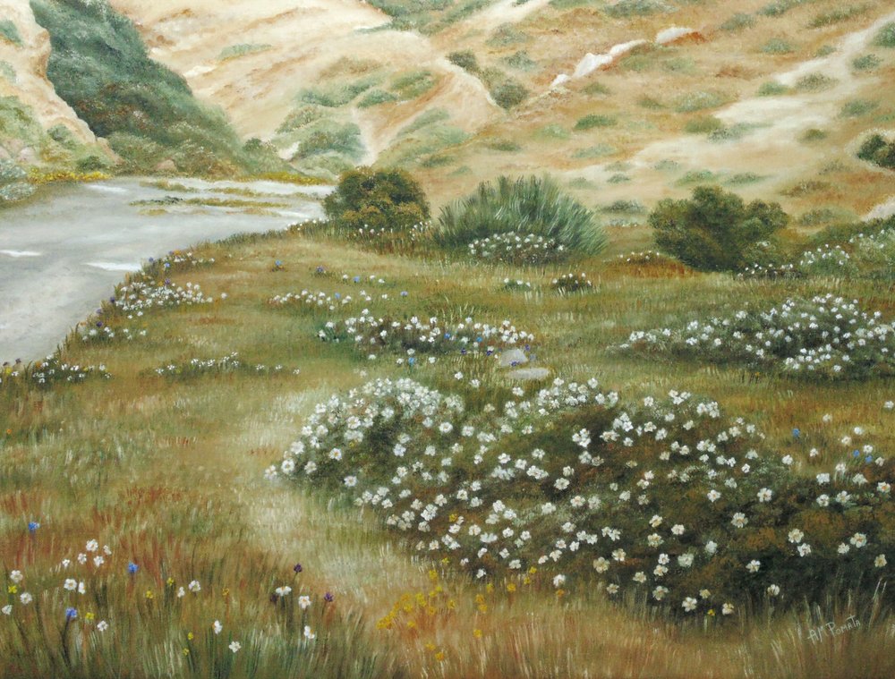 Fleurs sauvages de River Bend - Angeles M. Pomata