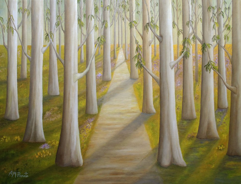 Sentier forestier ensoleillé - Angeles M. Pomata