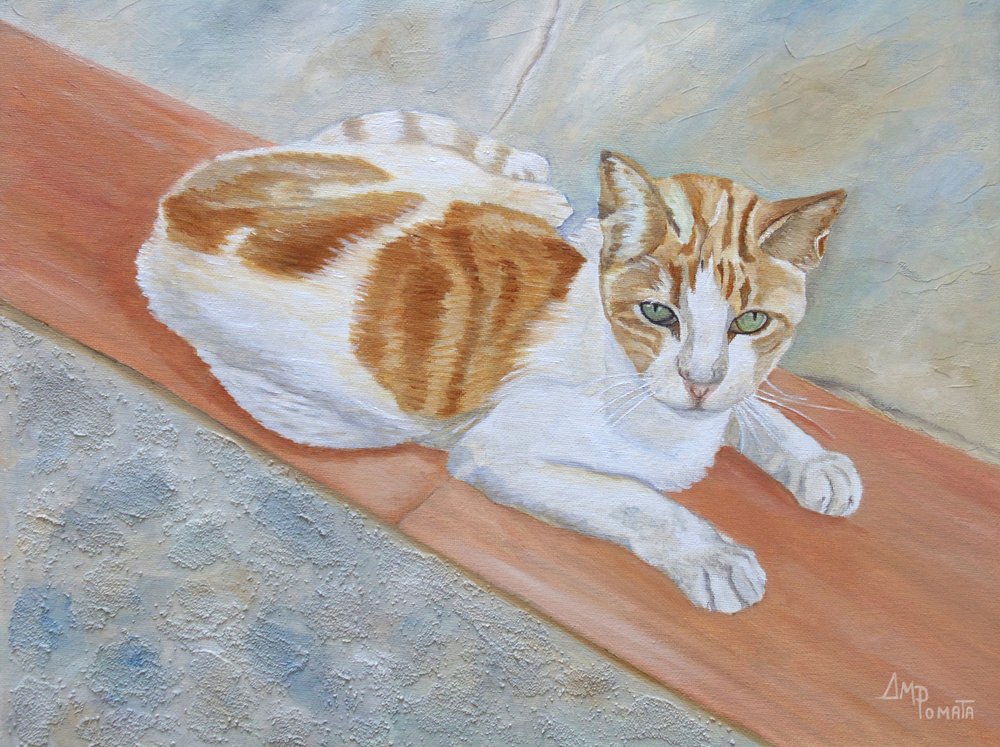 Un chat tigré orange à l