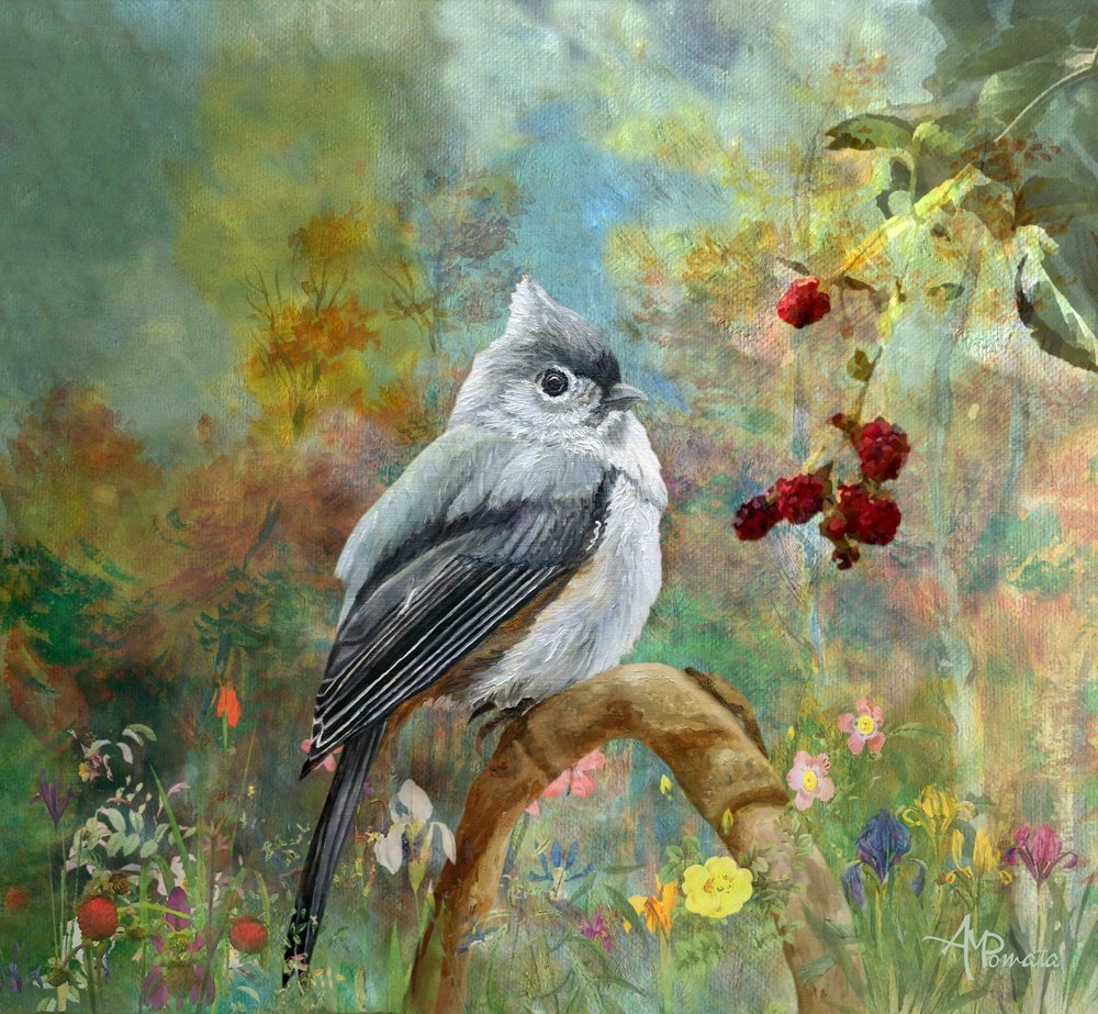 Mésange fantaisiste du jardin - Angeles M. Pomata