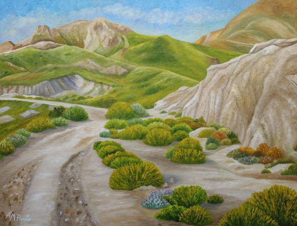 Sentier sinueux dans le désert - Angeles M. Pomata