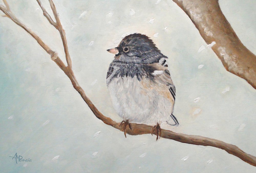Le junco d