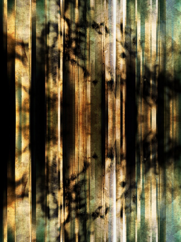 Résumé : Ombres de la forêt - Angelo Cerantola
