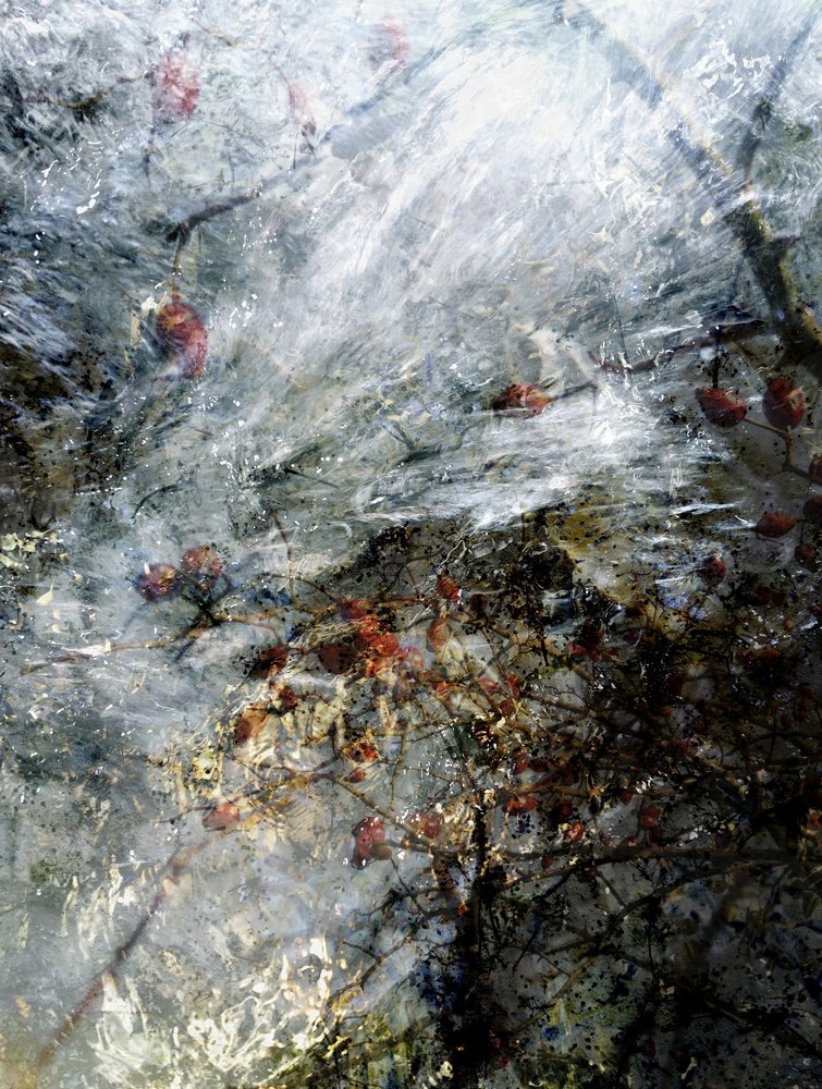  - Angelo Cerantola