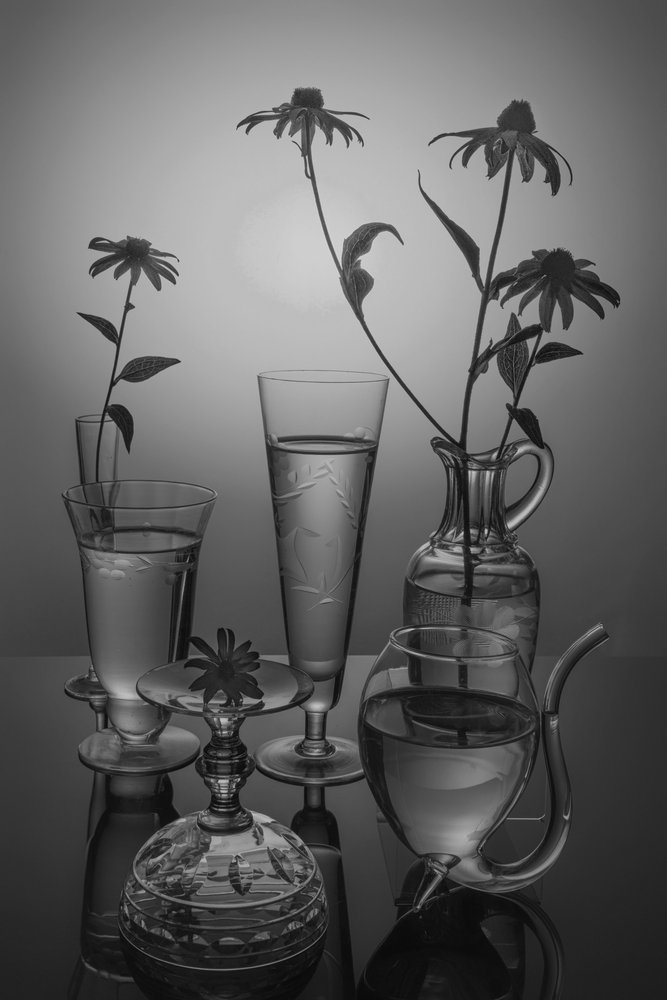 Fleurs monochromes et verre - Anna Qu