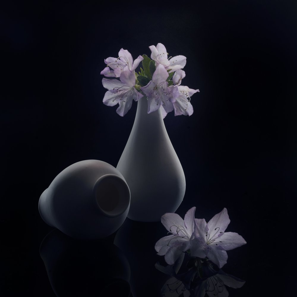 Fleurs et vases « Moody » - Anna Qu
