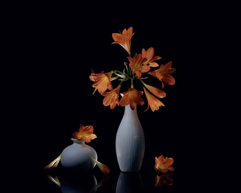 Nature morte orange vif - Anna Qu