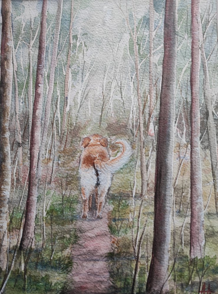 Promenade en forêt avec mon chien - Annette Armitage
