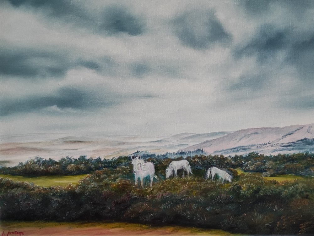 Les poneys de la lande sereine - Annette Armitage