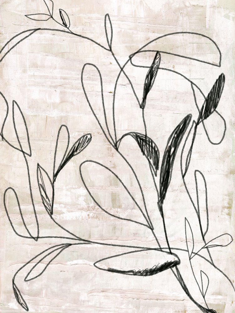 Dessin botanique au trait - Annick