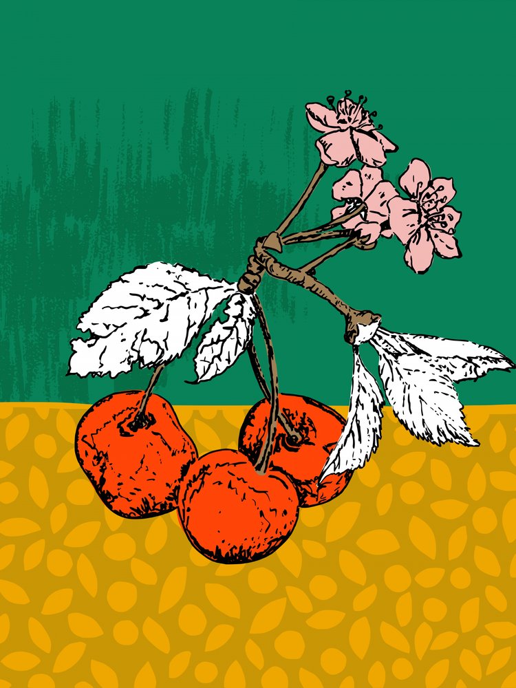 Fleurs de cerisier - Annick