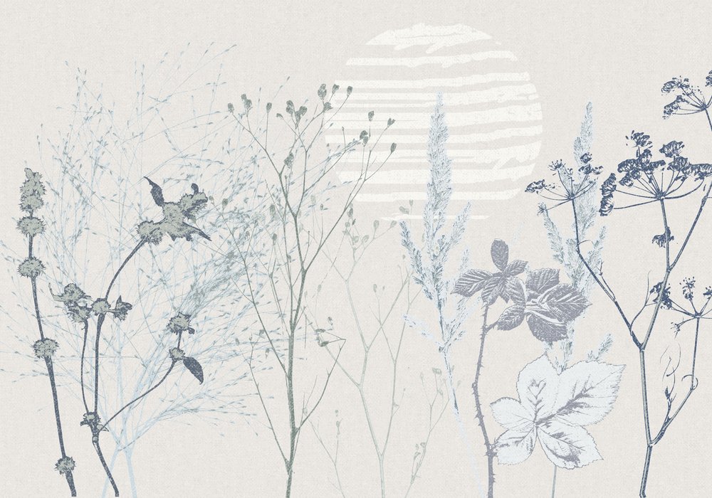 La douce lumière du soleil dans la prairie - Annick