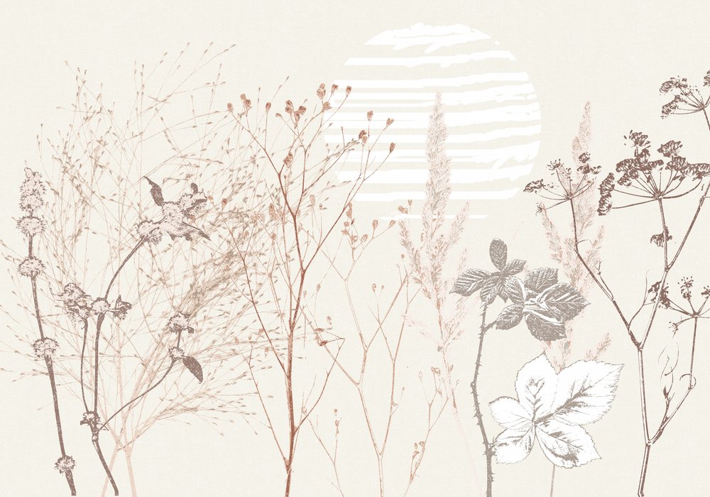 Fleur de prairie séchée - Annick