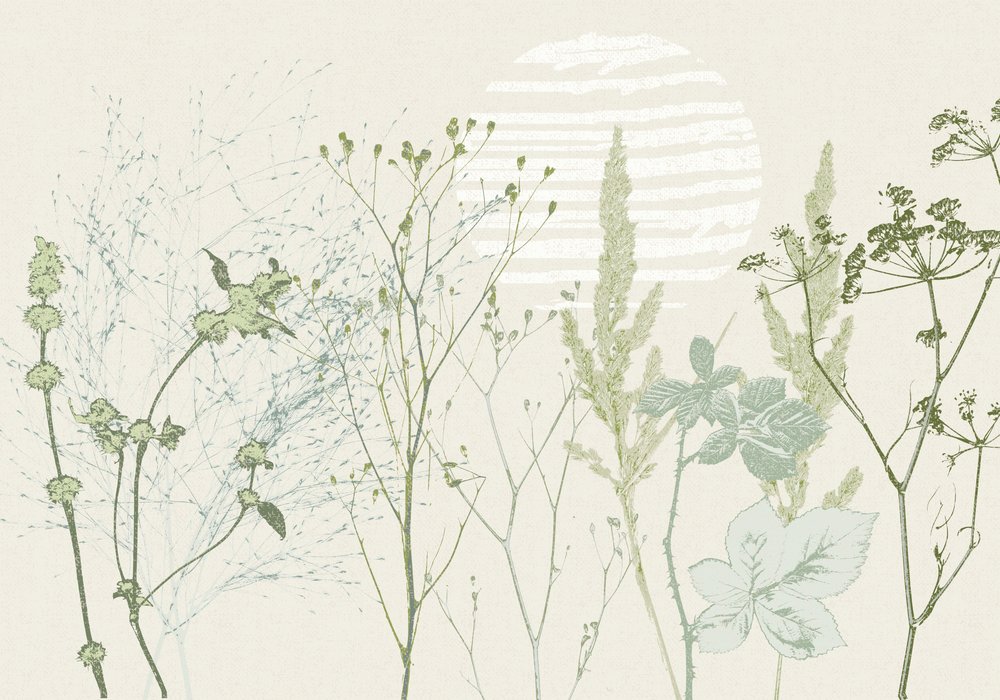 Lever de soleil botanique aux tons doux - Annick