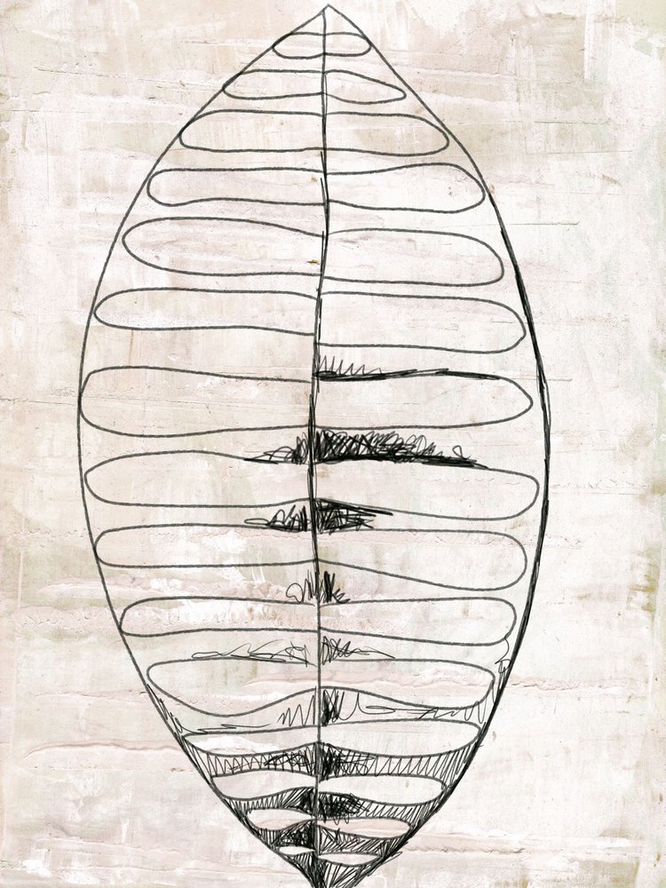 Dessin au trait de feuilles organiques - Annick