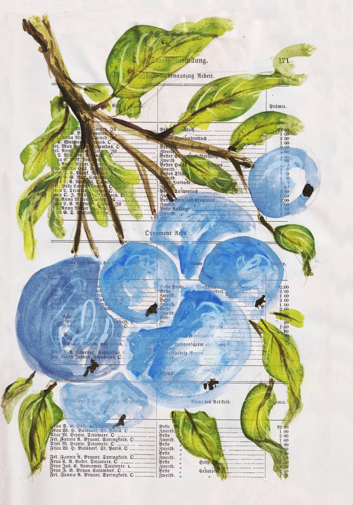Myrtilles peintes sur papier - Annick