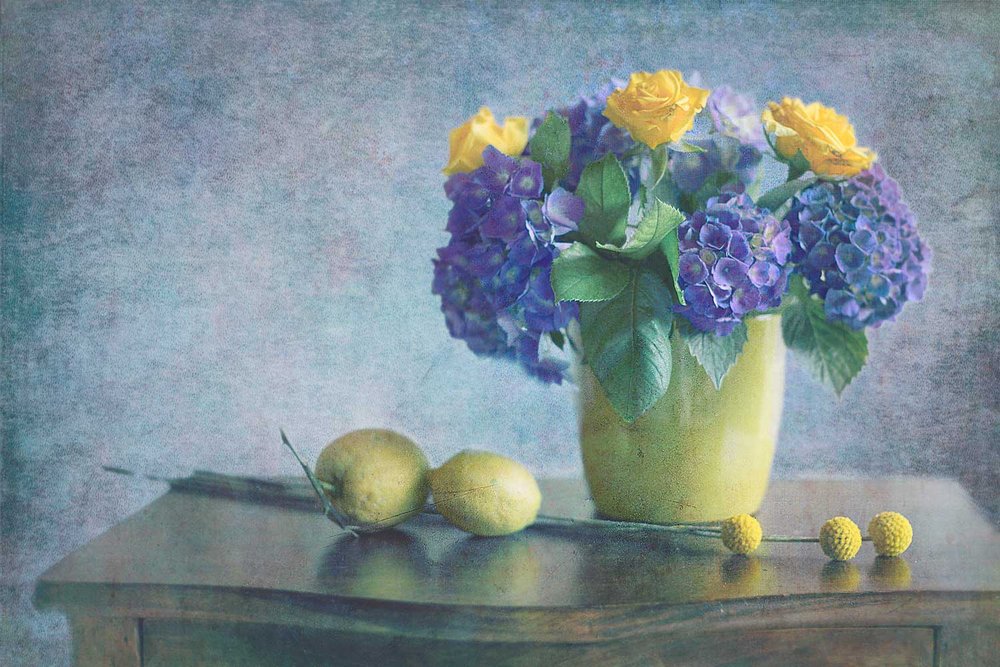 Hortensias violets, roses jaunes - Antonella Renzulli