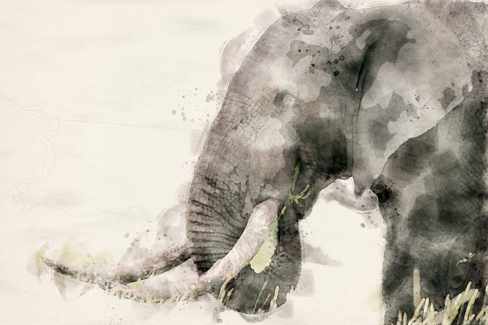 Aquarelle « Éléphant paisible » - Arno Du Toit