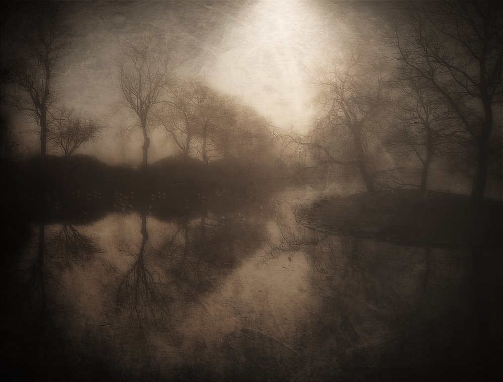 Reflet dans la forêt brumeuse - Bill Eiffert