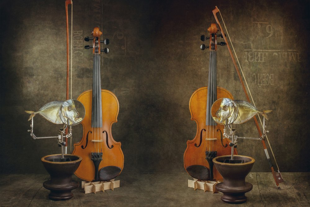 Concert - Brig Barkow