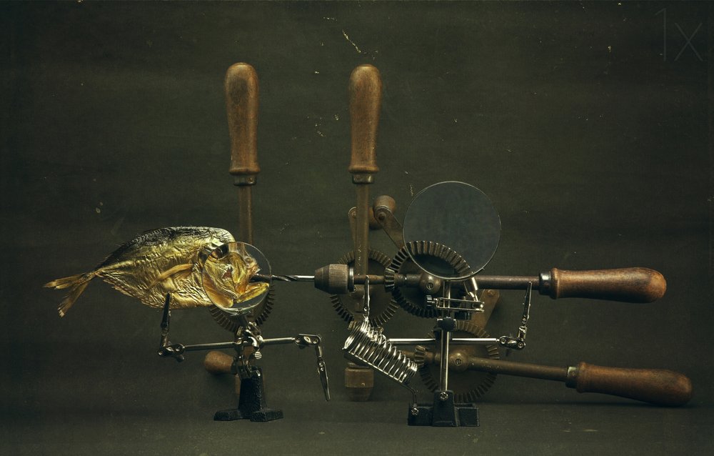 Curieux appareil à poissons - Brig Barkow