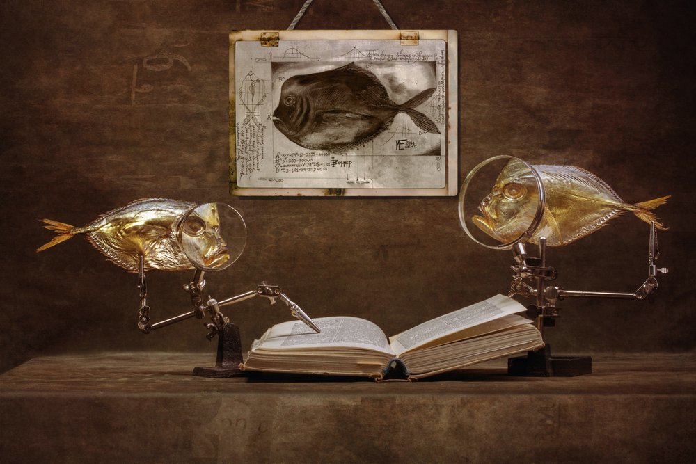 Curieux poissons érudits - Brig Barkow