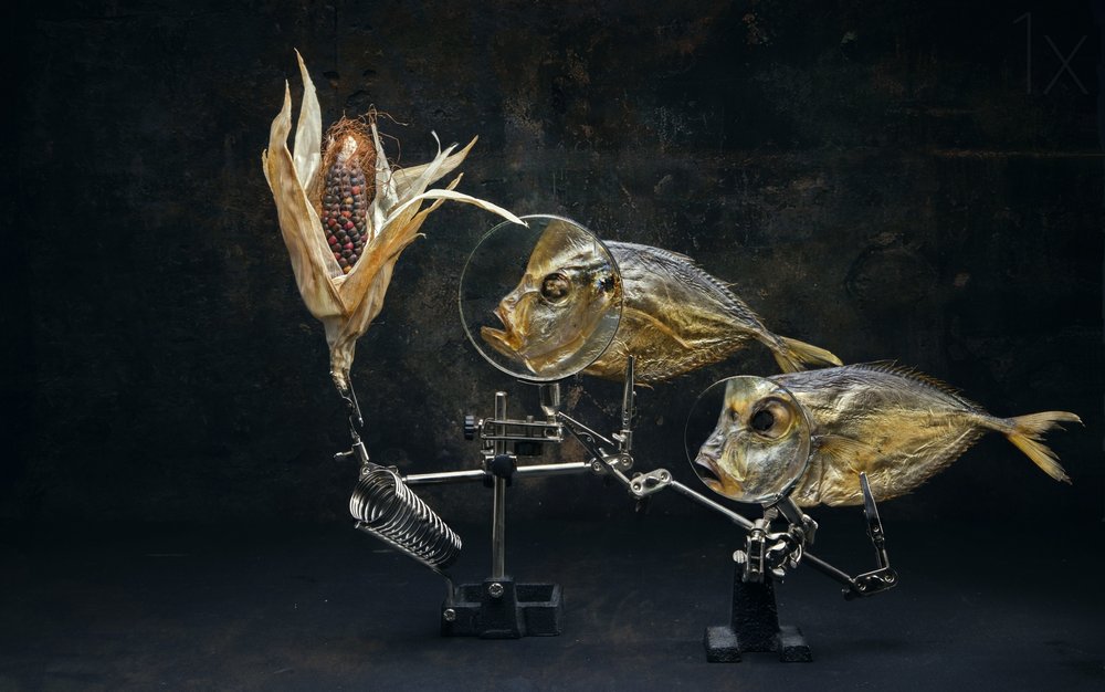 Curieuse nature morte au poisson - Brig Barkow