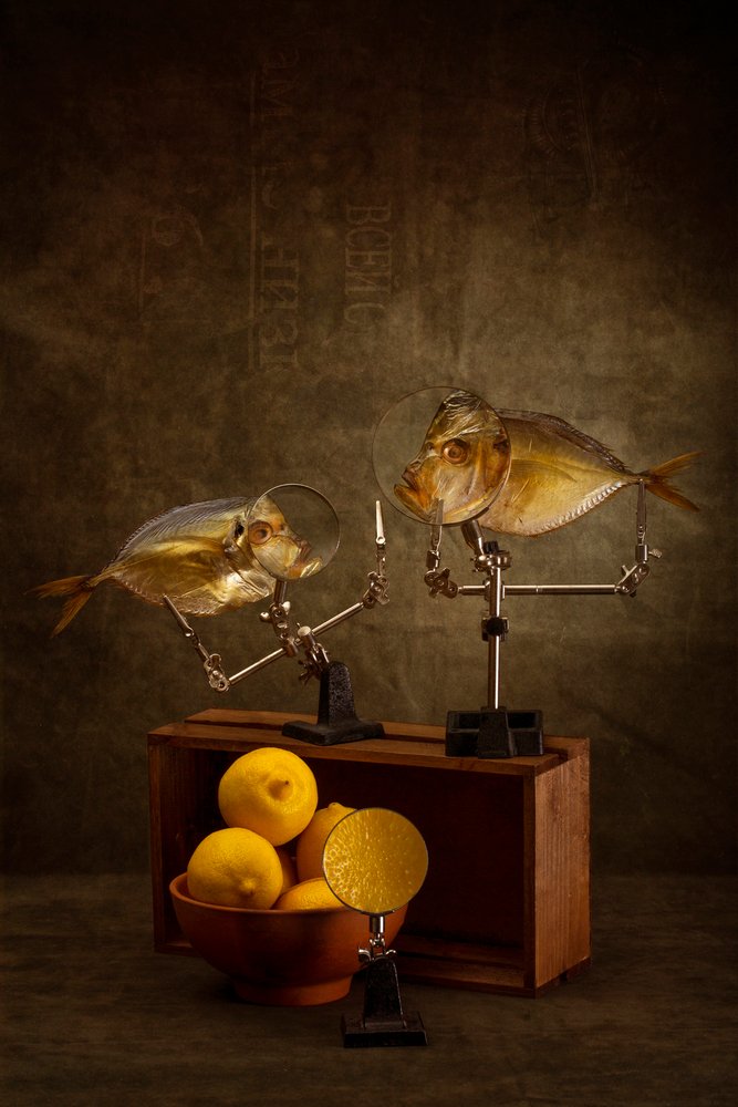 Curieuse étude de poisson - Brig Barkow