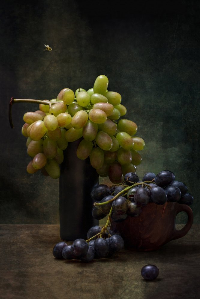 Raisins noirs et abeille - Brig Barkow